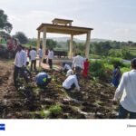 वृक्षलागवड व संवर्धन मोहीम